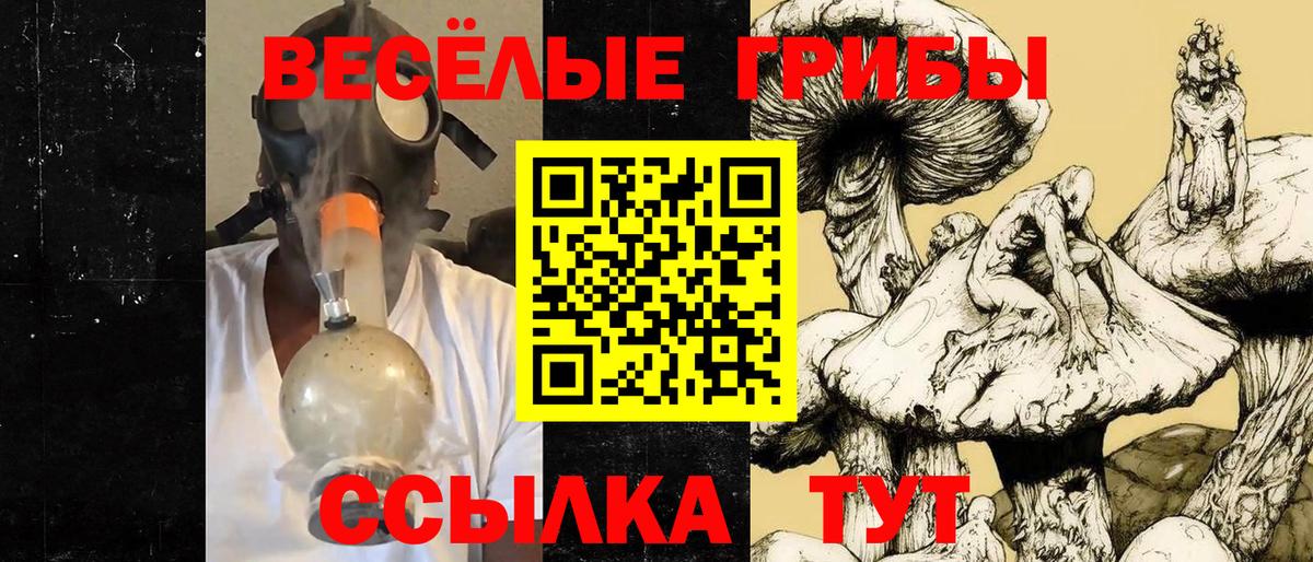 Псилоцибиновые грибы Psilocybe  Галлюциногенные грибы MAGIC MUSHROOMS  Менделеевск  Вход с VPN 