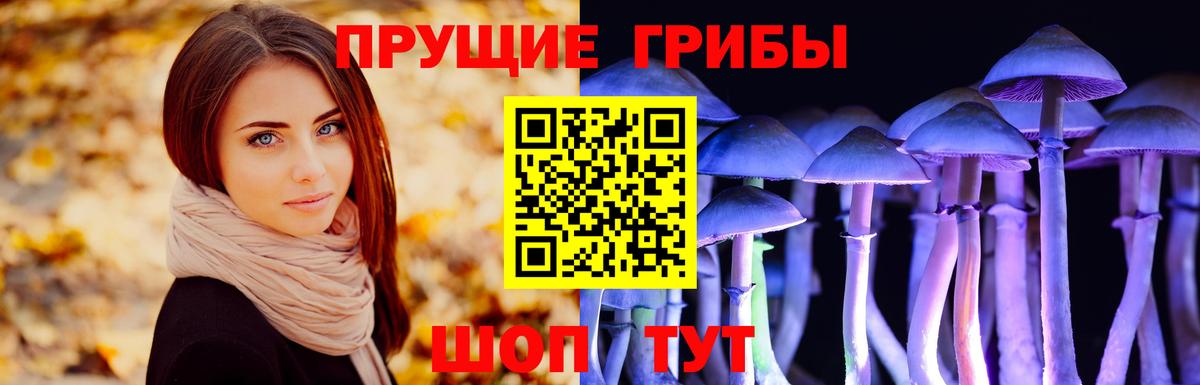 Псилоцибиновые грибы MAGIC MUSHROOMS Менделеевск